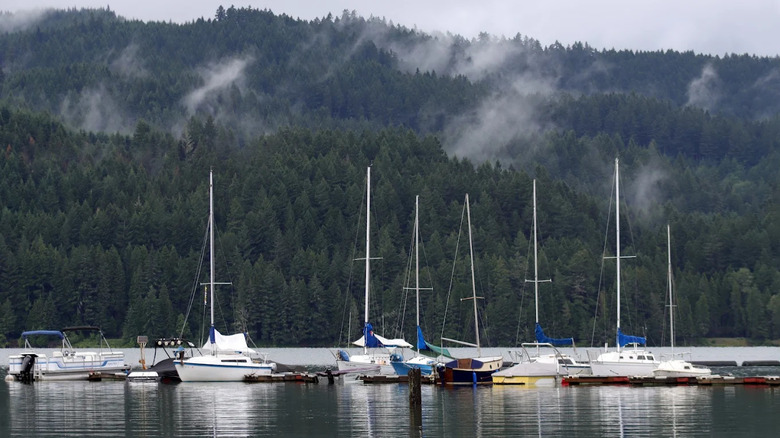 Sailboats docked on Dorena Lake