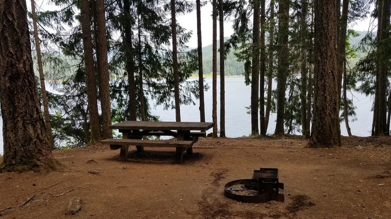 Baker Bay campsite overlooking Dorena Lake