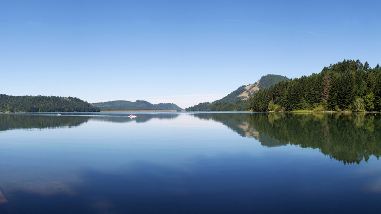 Calm waters of Dorena Lake, Oregon