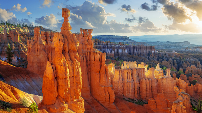 Thor's Hammer in Bryce Canyon National Park.