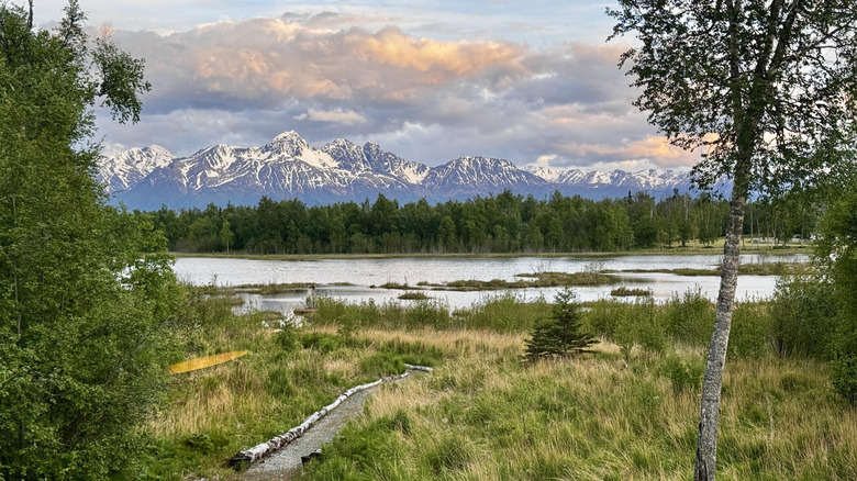 Alaskan wetlands with mountains in the background