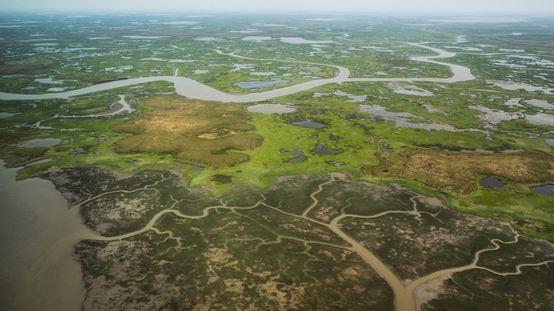 Aerial shot of marsh near Newtok, Alaska