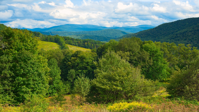 View of the forested Catskills from a lookout in Andes, New York