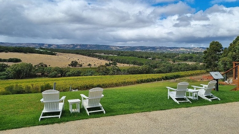White chairs on a lawn with a view of vineyards at Kay Brother Cellar Door & Winery in McLaren Vale