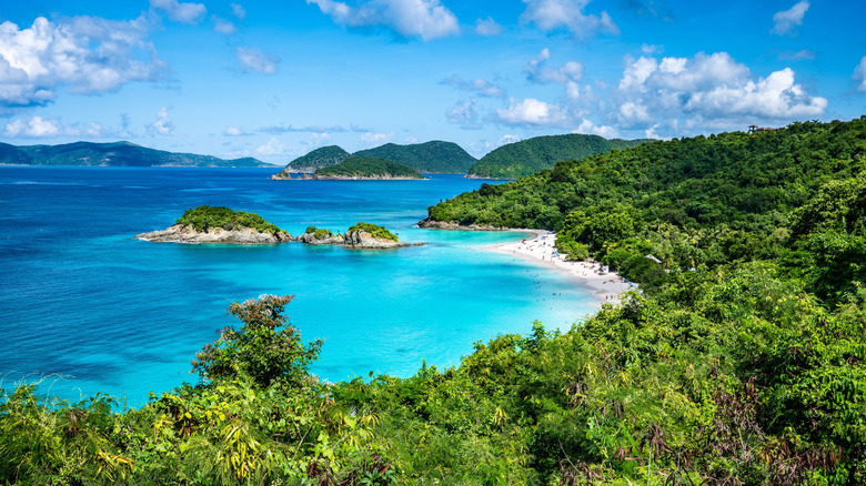 The blue waters and lush greenery of Trunk Bay Beach in Virgin Islands National Park