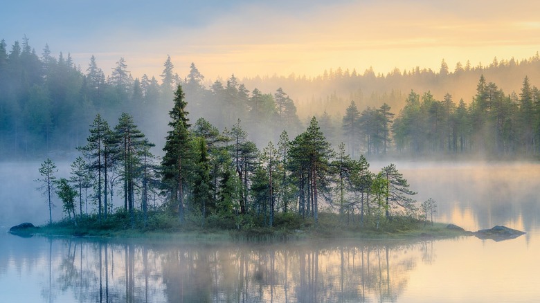 Morning mists over an island and a lake in northern Minnesota's Voyageurs National Park