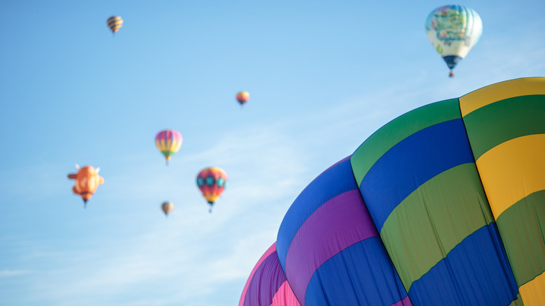 Balloons at the Albuquerque Balloon Festival in 2023