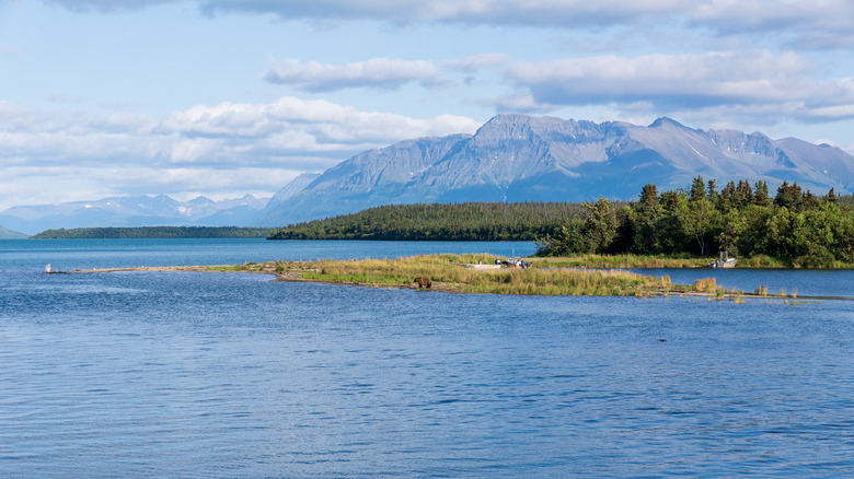 A view of Naknek Lake in Katmai National Park & Preserve