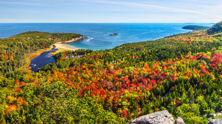 View of fall colors and Frenchman Bay from an outlook in Acadia National Park.
