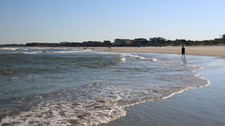 A person stands on the shore of Pawleys Island, South Carolina