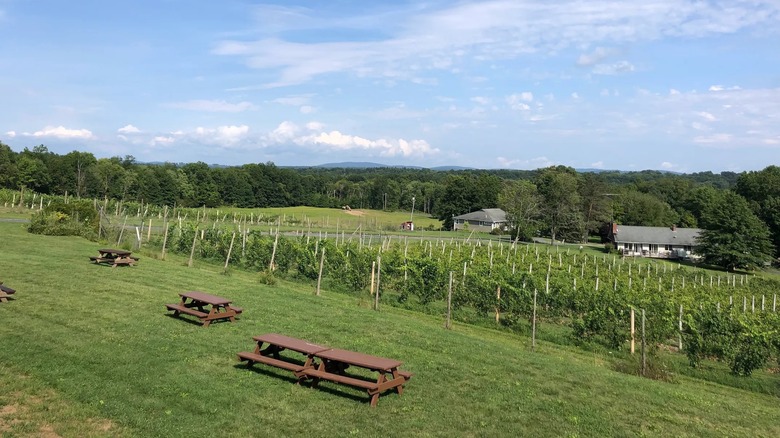 Robibero Winery in New York's Hudson Valley