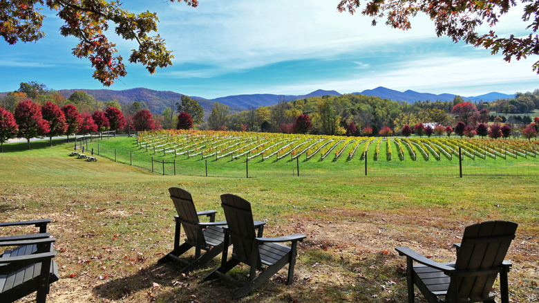 Winery in Virginia with Adirondack chairs on the lawn
