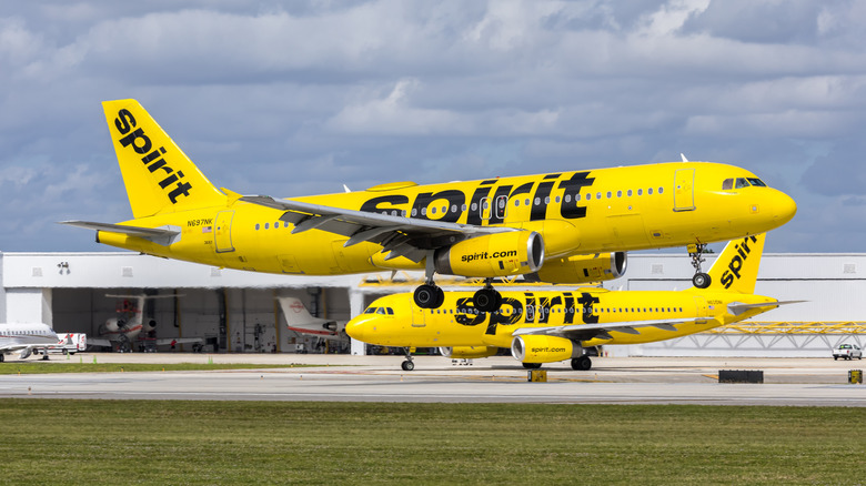 Spirit Airlines planes at an airport