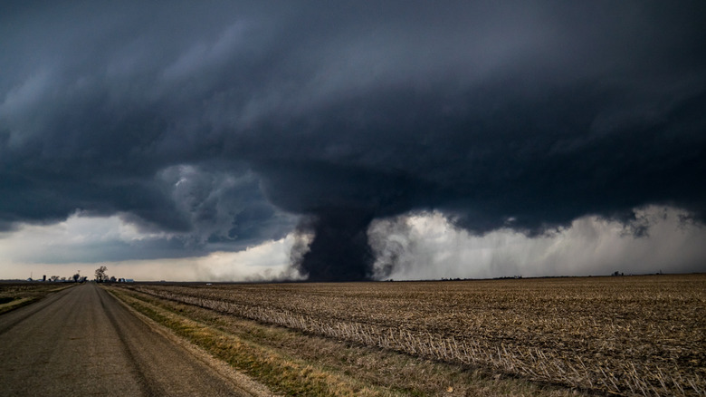 A massive tornado looms over a field in Illinois