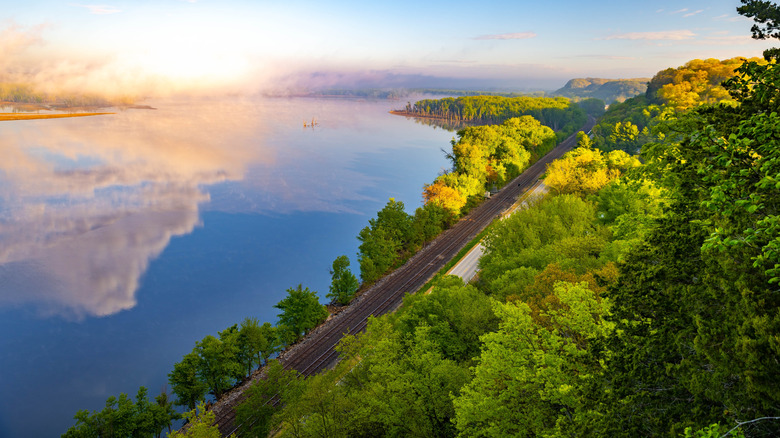 A road lined by trees running along the Mississippi River, fog in background