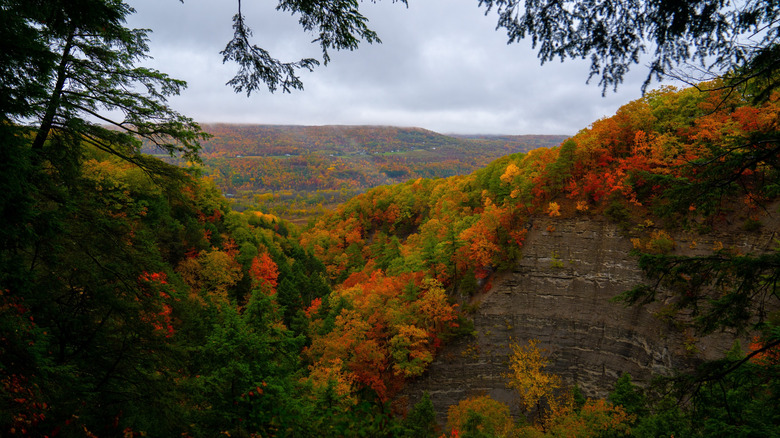 High Tor Wildlife Management Area at the peak of fall colors