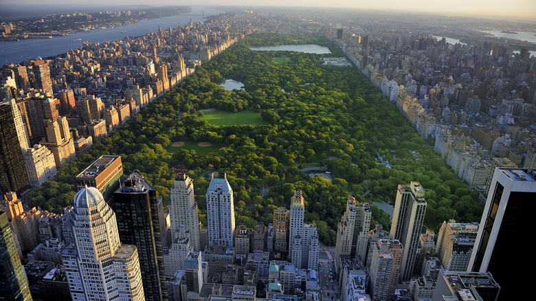 An aerial view of Central Park's lush trees and lawns, surrounded by buildings