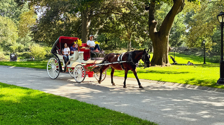 People riding in a horse-drawn carriage through Central Park
