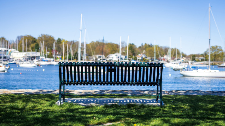 A bench with the harbor in the distance at Harbor Island Park, Mamaroneck, NY