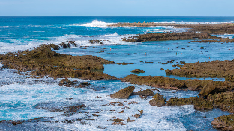 The turquoise waters of Shark's Cove on the northern shores of O'ahu.