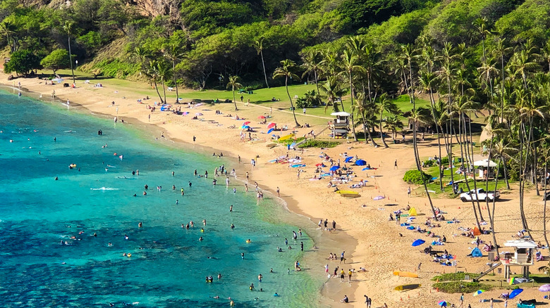 People on the beach and snorkeling at Hanauma Bay.