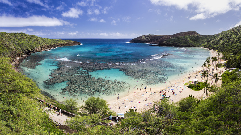 Bird's eye view of Hanauma Bay and reef