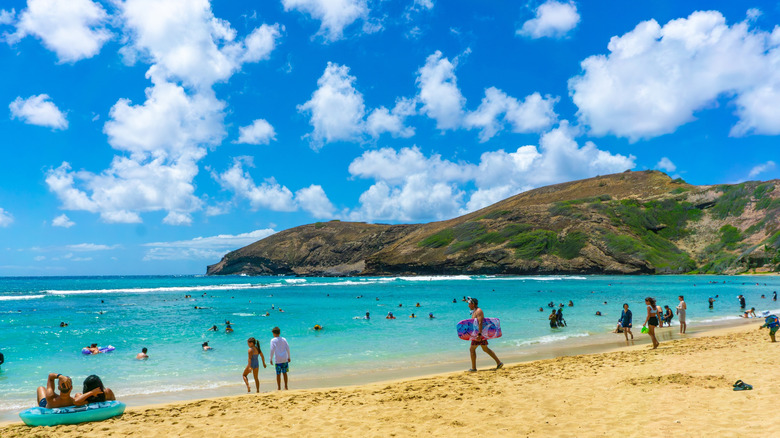 Snorkelers at Hanauma Bay