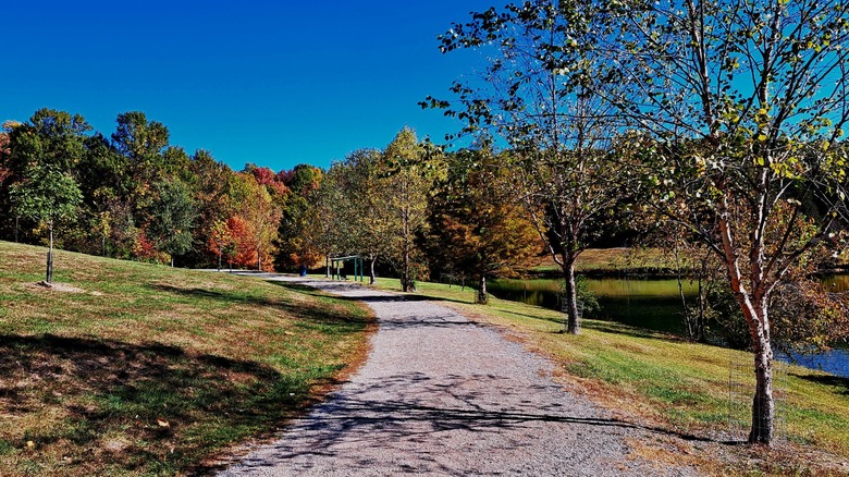 A scenic and peaceful path and fishing pond at Bee Tree County Park in Oakville, MO.