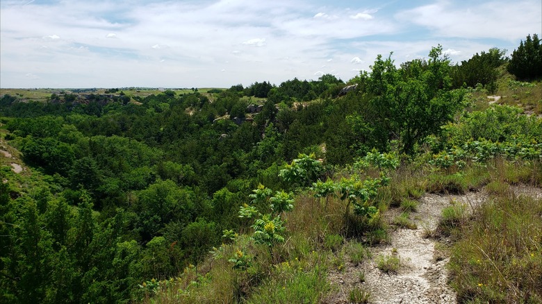 Hiking path with scenic views of the forest at Meade State Park, Kansas