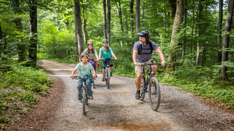 A family of four cycling in forest