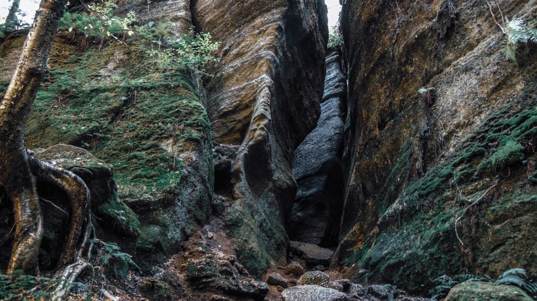 A rock formation with narrow fissure at Nelson-Kennedy Ledges State Park, Ohio