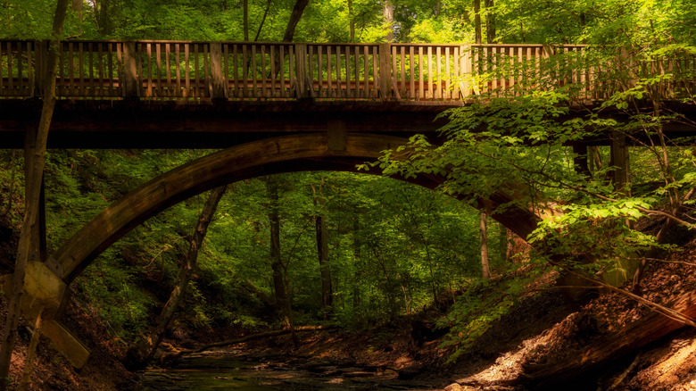 A footbridge across the Olentangy River at High Banks Metro Park in Lewis Center Ohio