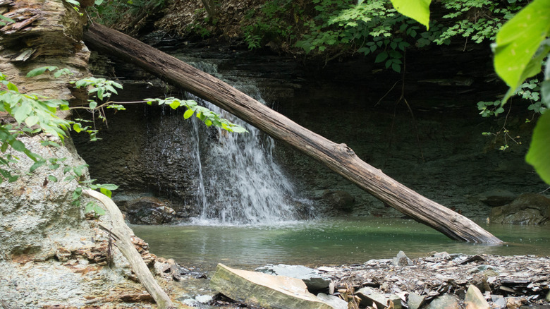 Small Waterfall with a tree in front in a Delaware County Park in Ohio