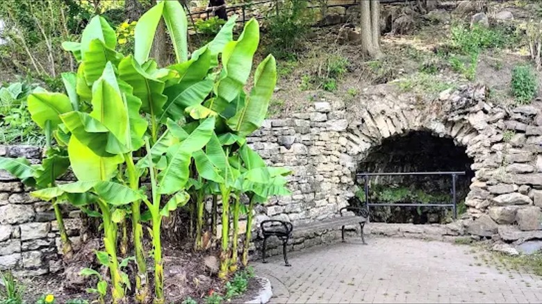 A hole on a hill leading into the ground surrounded by stonework with a bench and tall, green plants to the left of it.