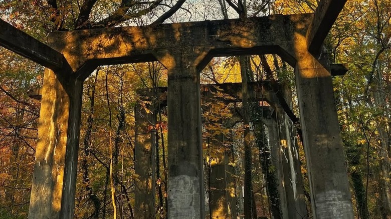 Soft light on the Porter Creek Bridge ruins near Bay Village, Ohio