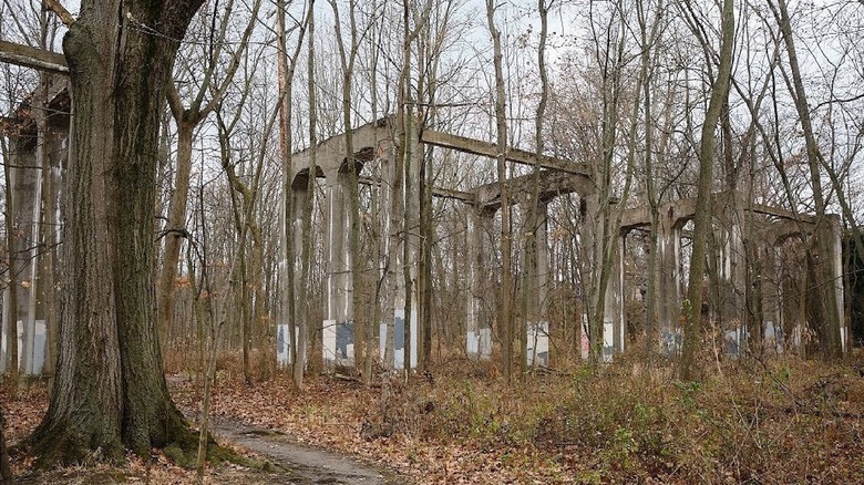 Tall bridge trestles surrounded by trees at Porter Creek Bridge ruins