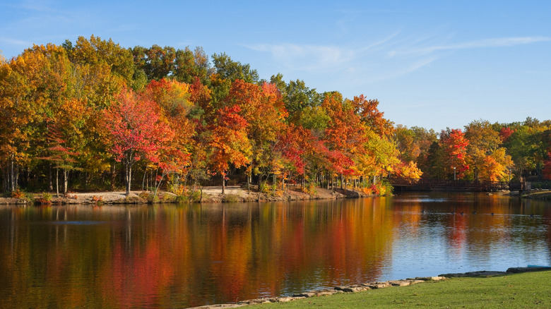 Coe Lake in Berea, Ohio