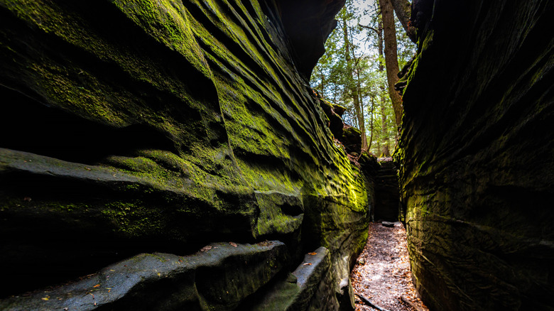 Photograph of the stunning Green Caves along the Ledges Trail in Cuyahoga Valley National Park.