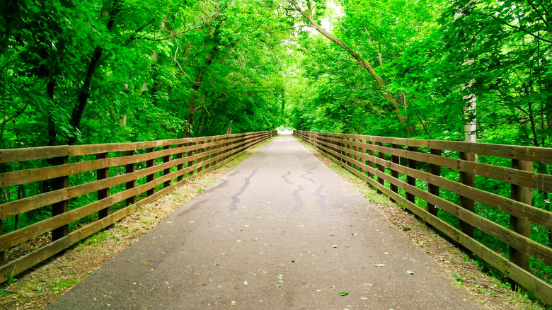 Tree-lined section of the North Coast Inland Trail in Ohio