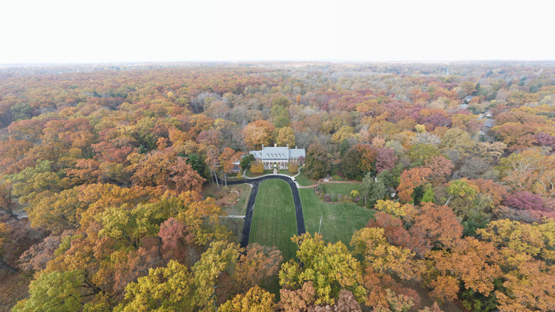 An aerial view of the colorful trees in Wildwood Park in Sylvania near Toledo, Ohio