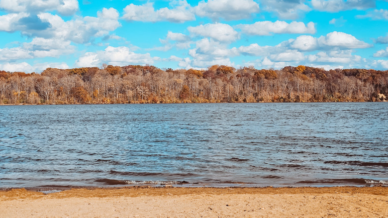 Down by the shore of Acton Lake, Ohio, in autumn