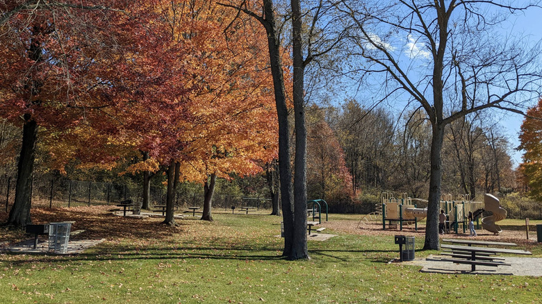A fall scene of a playground and picnic area in Silver Creek Metro Park outside of Akron, Ohio