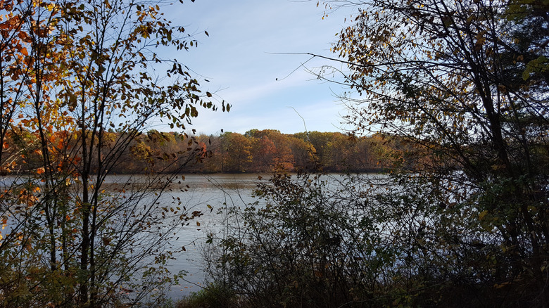 Trees surround Lake FInley in Ohio