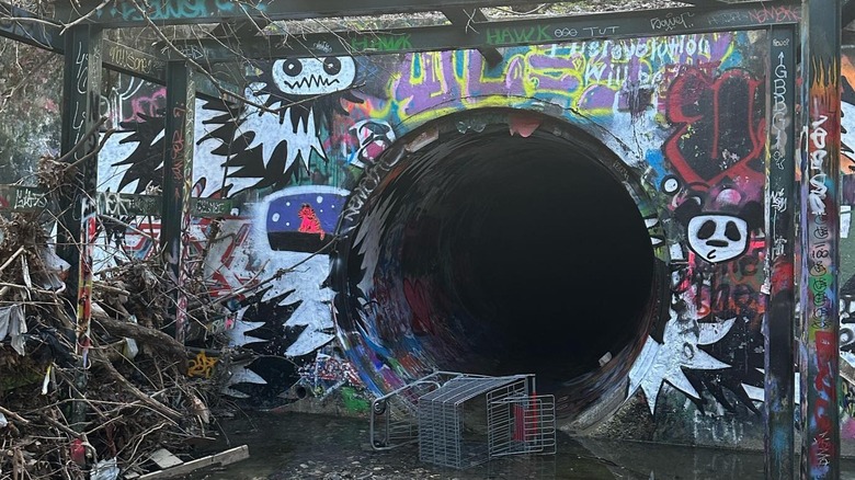 Shopping cart outside a graffiti-covered drain entrance