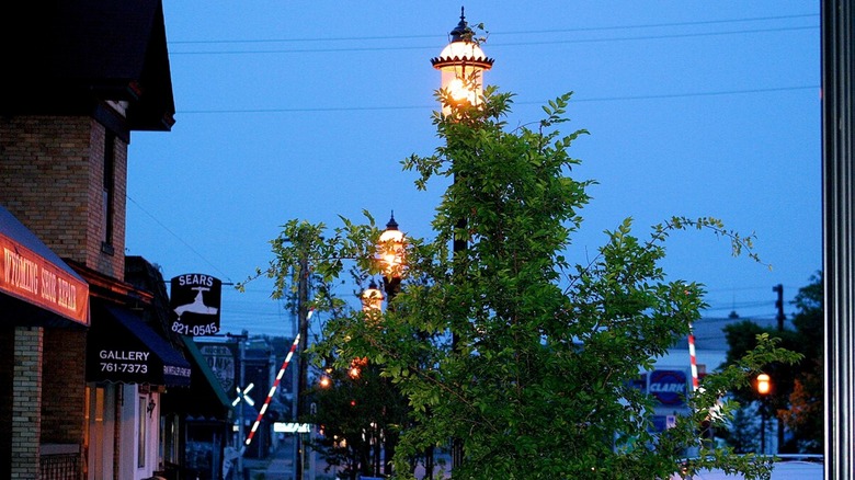 Lights and trees in Wyoming, Ohio's downtown at night