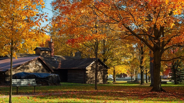 Photo of Burton's maple syrup log cabin in fall