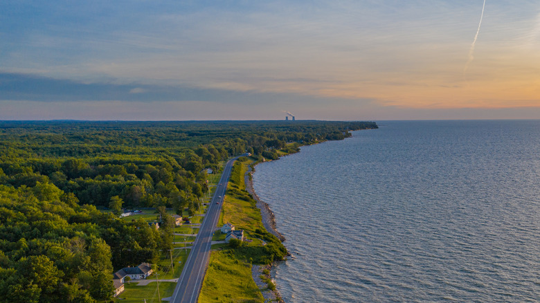 An aerial view of a road along the Lake Erie shoreline in Ohio with trees covering most of the land.