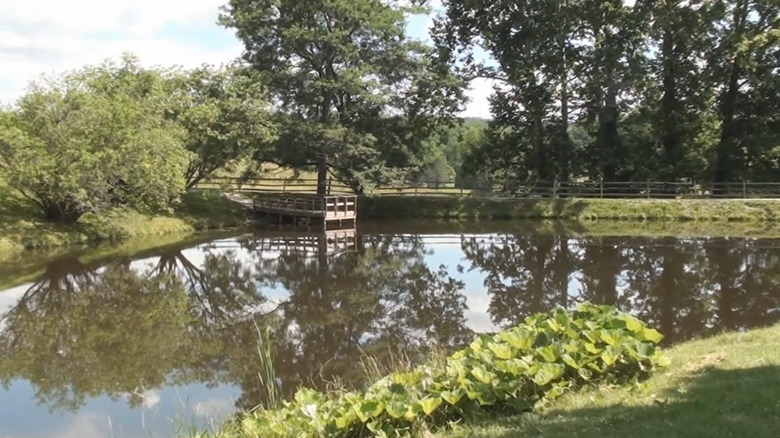 One of the ponds at Malabar Farm State Park