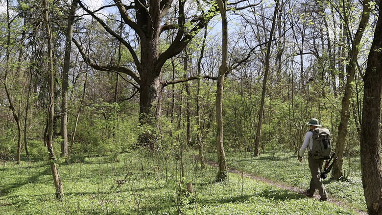 A person wearing a hat and hiking backpack walking the Lindner Park trails amidst green grass and trees.