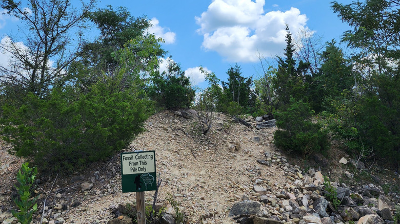Sign reading "Fossil Collecting From This Pile Only" in front of a rocky slope